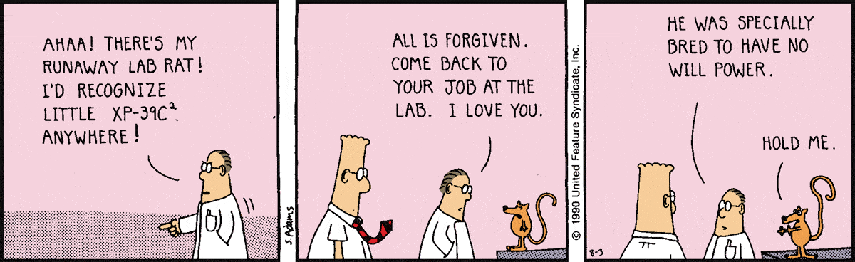 Dilbert Cartoon
